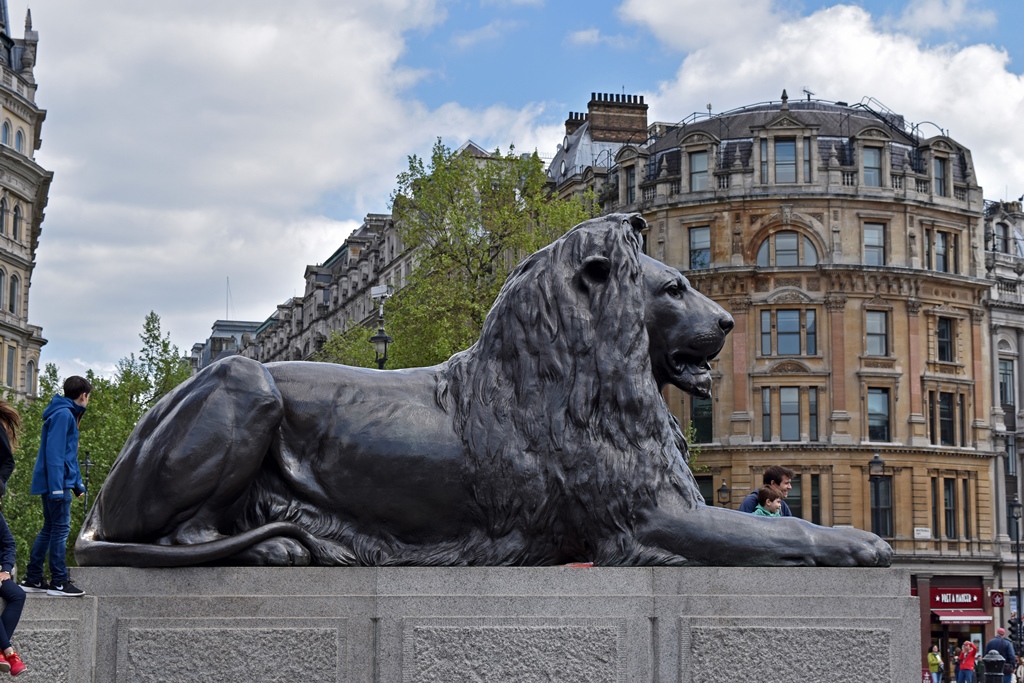 Another Nelson's Column Lion
